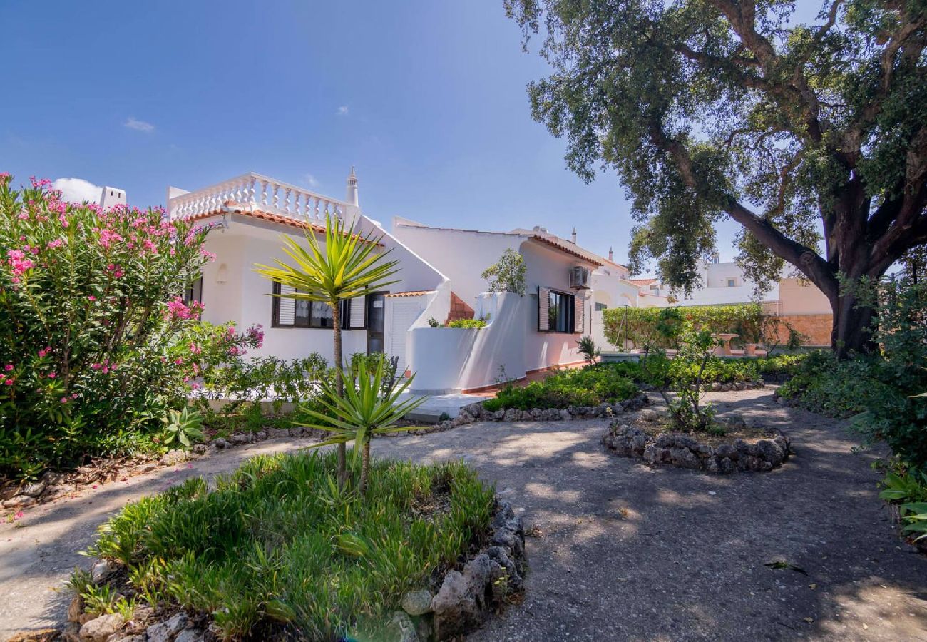 Villa in Guia - Rosa dos Ventos