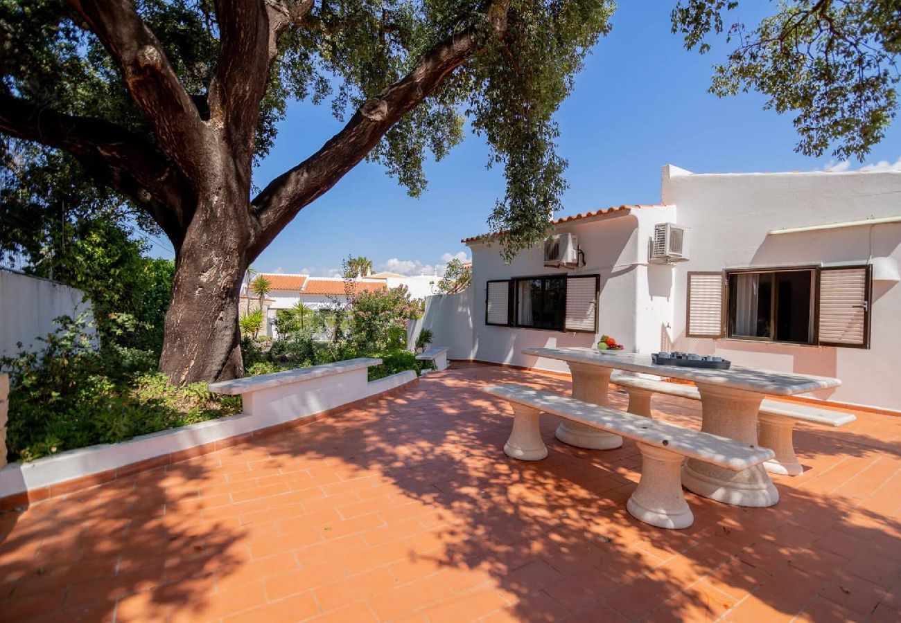 Villa in Guia - Rosa dos Ventos
