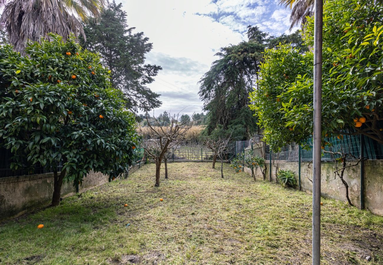 House in Óbidos - Hidden garden near the castle